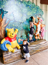 Load image into Gallery viewer, The Toys